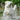 GPS pour chat et chien Havenbridges - HAVENBRIDGES