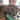 Masseur électrique pour chat et chien Havenbridges™ - HAVENBRIDGES