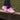 Chaussures de randonnée unisexe, trail running & trekking - Havenbridges - HAVENBRIDGES