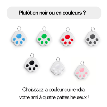 Collier GPS pour Chat et Chien - Havenbridges - HAVENBRIDGES