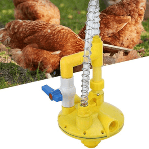 Ligne d'Alimentation en Eau Professionnelle pour Poulailler - HAVENBRIDGES