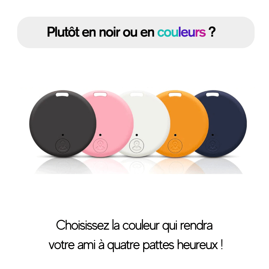 Traceur GPS pour Animaux de Compagnie - Havenbridges - HAVENBRIDGES