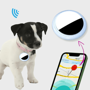 Traceur GPS pour Animaux Précis et Sans Abonnement – Havenbridges - HAVENBRIDGES