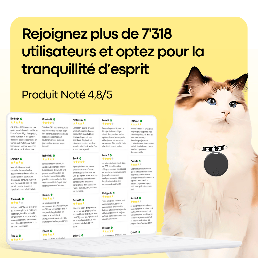 Traceur GPS Pour Chat Sans Abonnement, Léger & Compact - HAVENBRIDGES