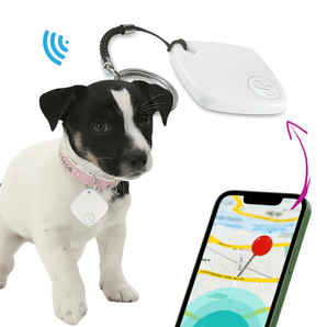 Traceur GPS Sans Abonnement pour Animaux de Compagnie – Havenbridges - HAVENBRIDGES