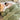 WinterLuxe - Housse de Couette en Cachemire Havenbridges™ - HAVENBRIDGES